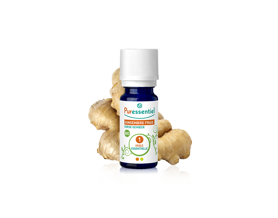 HE BIO Ginger / Gingembre 5ml – 1