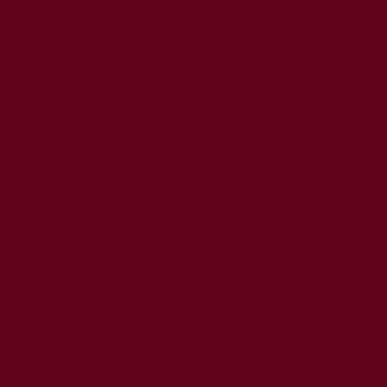 ultra vernis silicium uree Griotte 1550