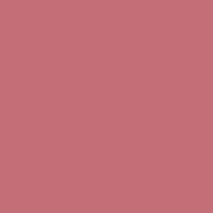 crayon contour des lèvres bois de rose 31