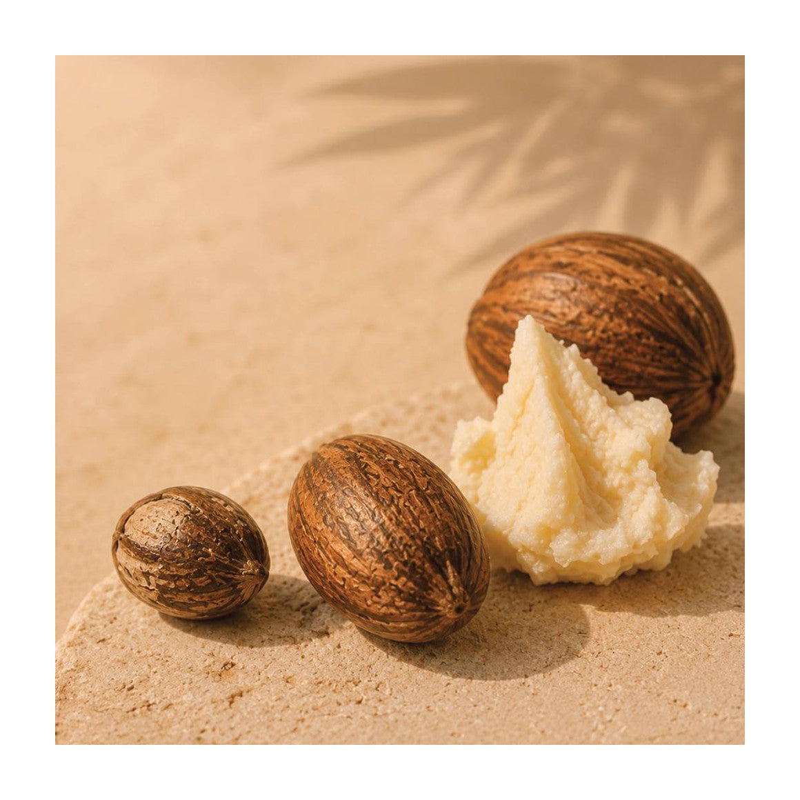 Pro-Silk Shea Butter - Jar 200 ml – 3
