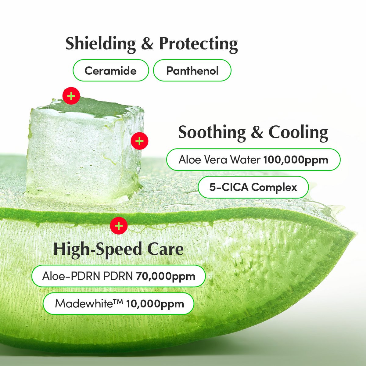 EQQUALBERRY Aloe PDRN Calming Cream 50 ML