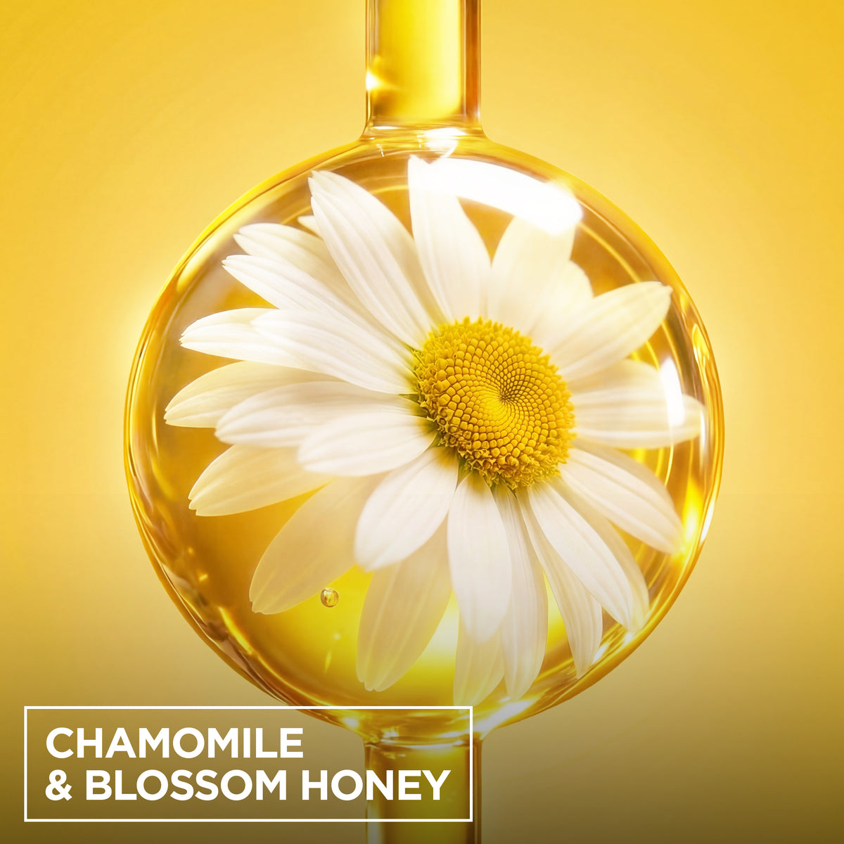 Ultra Doux with Camomile and Flower Honey Illuminating Shampoo