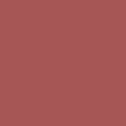 crayon contour des lèvres cannelle 30