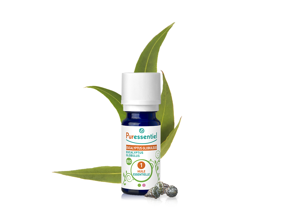 HE BIO Eucalyptus Globuleux 10ml – 1