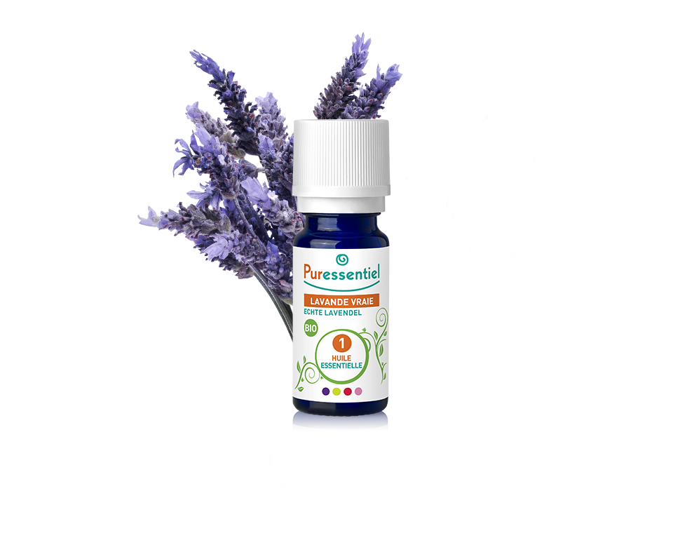 HE BIO Lavande Vraie Officinale 10ml – 1