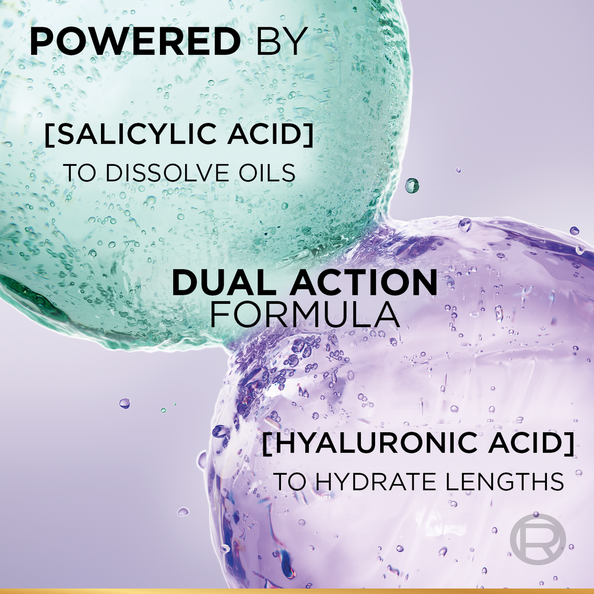 L’Oréal Paris Elvive Hyaluron Pure Purifying Shampoo for Oily Roots And Dehydrated Length 400 ML