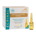 Ampoules Anp