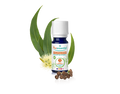 HE BIO Eucalyptus Citronne 10ml
