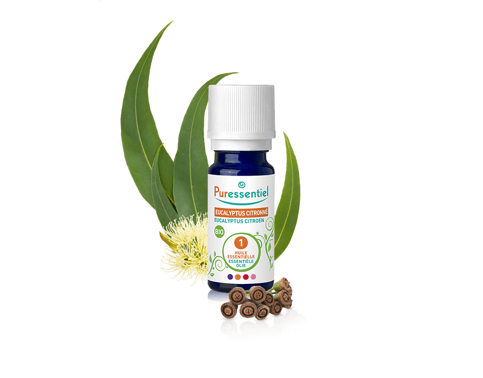 HE BIO Eucalyptus Citronne 10ml – 1