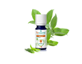 HE BIO Basilic 5ml