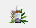 Diffusion Provence 30ml