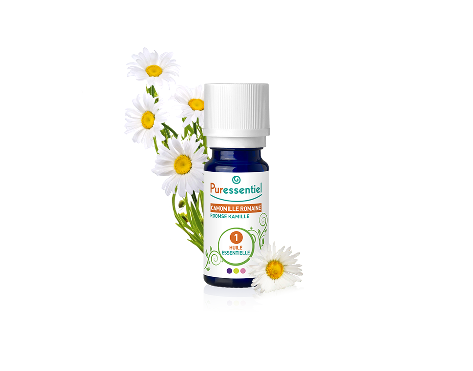 HE Camomille Romaine / Roman Camomile – 1
