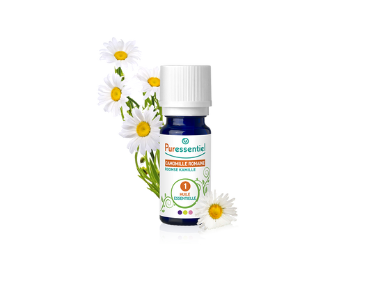 HE Camomille Romaine / Roman Camomile – 1