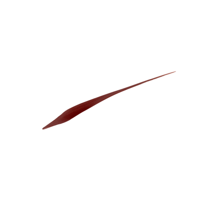 L'Oreal Paris Perfect Slim Eyeliner