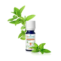 HE BIO Menthe Poivree 30ml