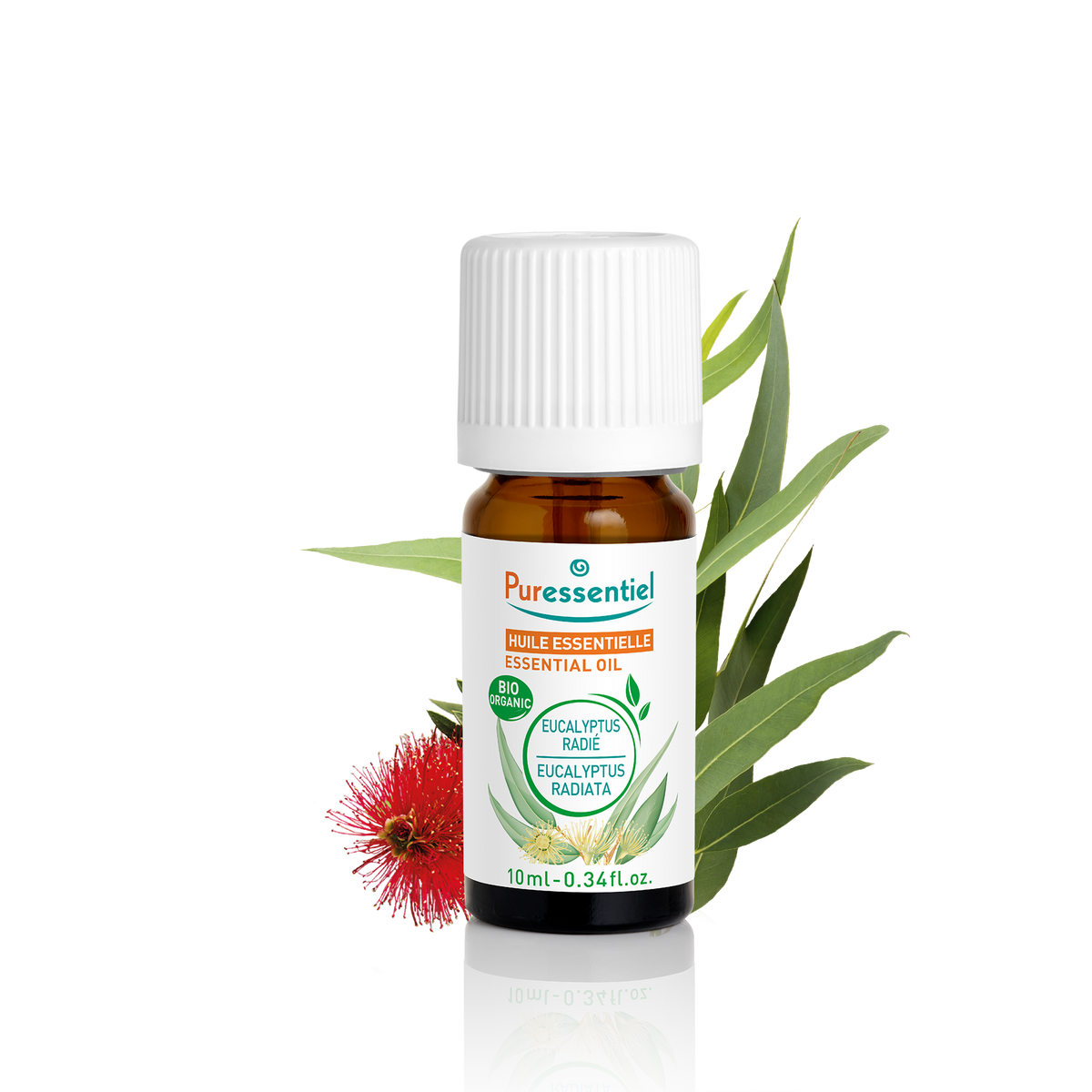 HE BIO Eucalyptus Radie 10ml – 1