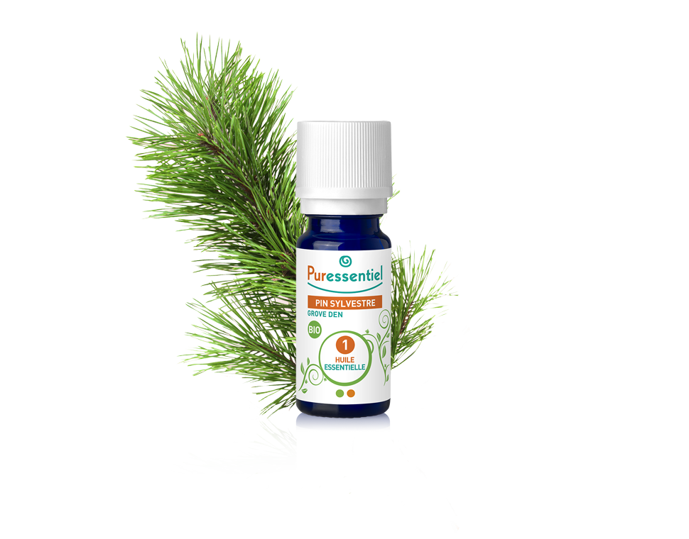 HE BIO Pin Sylvestre 5ml – 1