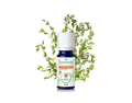 HE BIO Thym A Thymol 5ml