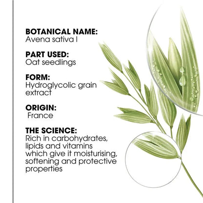 Klorane Tinted Dry Shampoo with Oat and Ceramide – 7